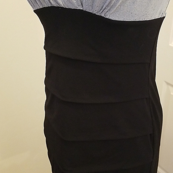 Sleek Fitting Enfocus Dress - Picture 2 of 3